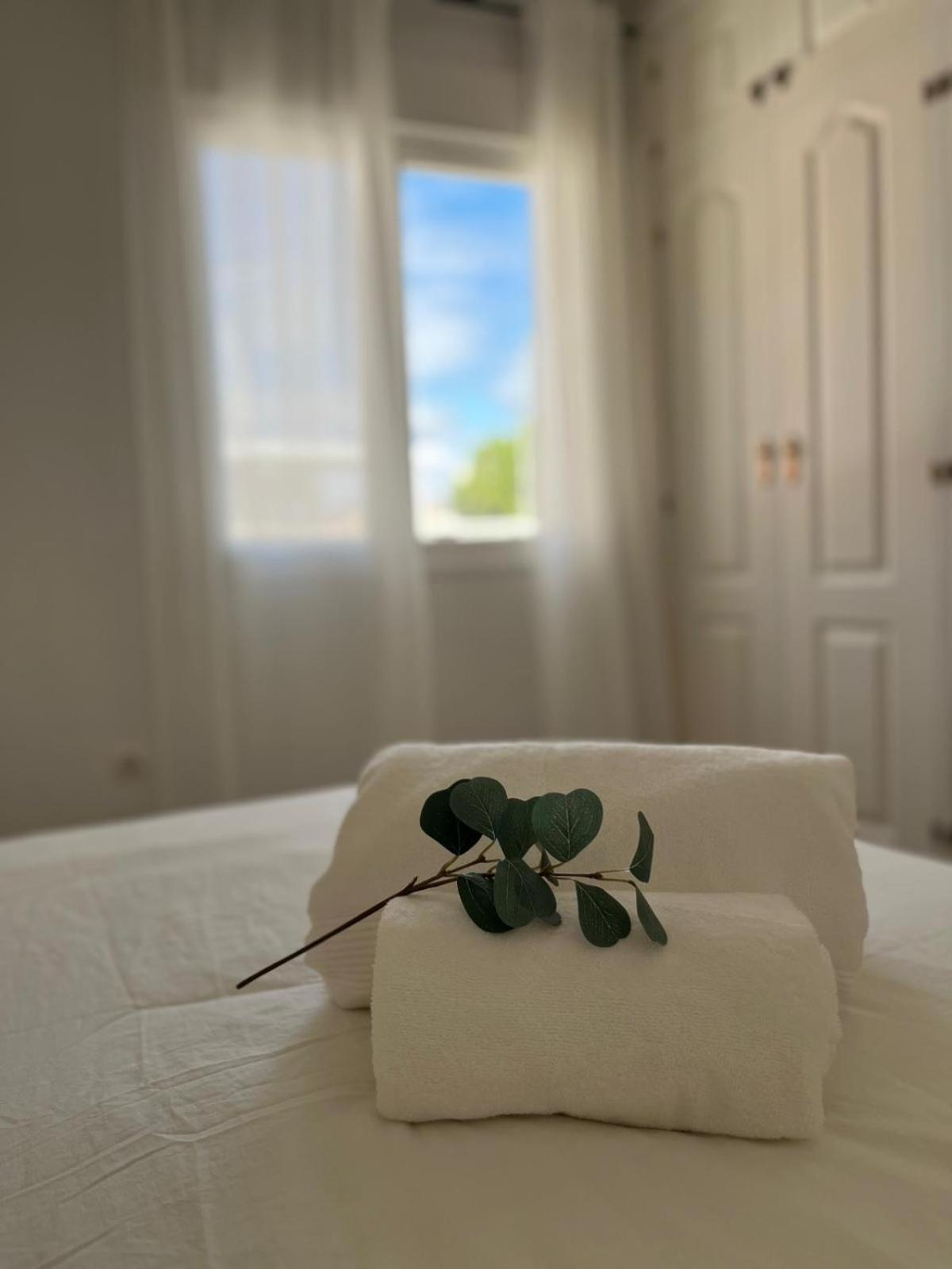 Malaga Prime Location - Stylish Apartment With Free Wifi, Free Parking, Steps From The Historic Center Ngoại thất bức ảnh